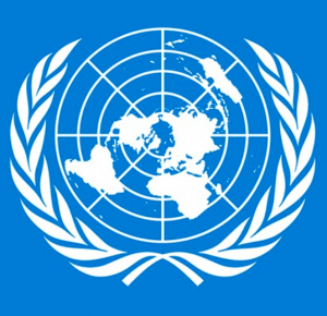 Se observa en un fondo azul el logo de la Organización de las Naciones Unidas. Invita a visitar el informe "Informe alternativo sobre la situación de los derechos reproductivos de niñas, adolescentes y mujeres en México".