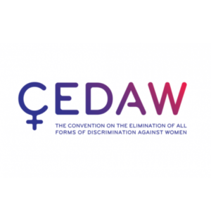 Se observa en un fondo blanco el logo de la CEDAW. Invita a visitar el informe "Alternative Report on the Reproductive Rights of Mexican Girls, Adolescents and Women" en su versión inglés.
