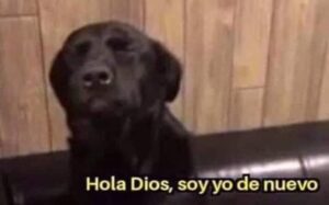 Meme que incluye la fotografía de un perro que cierra sus ojos. Le acompaña el texto: Hola Dios, soy yo de nuevo 