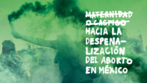 Portada del libro Maternidad o castigo. Hacia la despenalización del aborto en México. Está ilustrada con la fotografía en plano medio de una persona que con su mano sostiene una bengala de humo verde durante una manifestación.