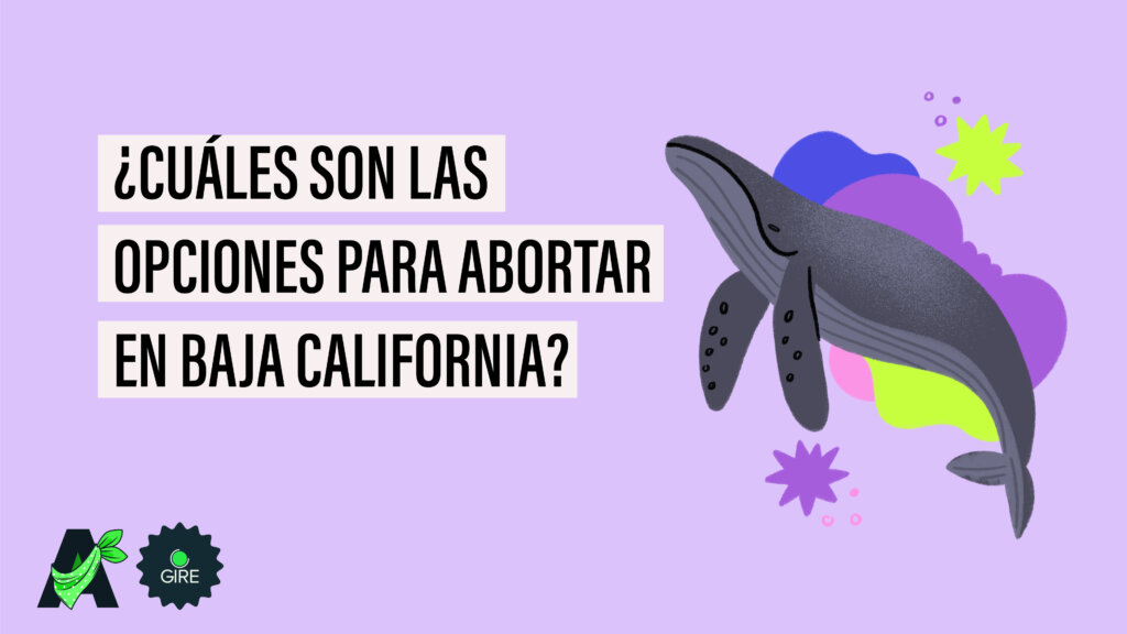 Banner que sobre un fondo color morado tiene la ilustración de una ballena. Le acompaña el texto “¿Cuáles son las opciones para abortar en Baja California?”.