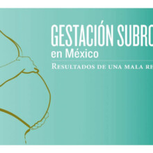 Portada del informe 'Gestación Subrogada en México. Resultados de una mala regulación'. Está ilustrada con la silueta de una persona que está embarazada.