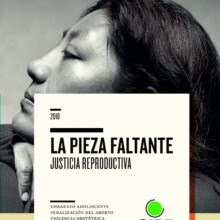Es la portada del libro “La pieza faltante, justicia reproductiva” que contiene los temas: embarazo adolescente, penalización del aborto, violencia obstétrica, muerte materna y seguridad social incompleta. Está ilustrada con la fotografía en primer plano de la cara de una mujer morena de perfil mirando hacia el lado izquierdo, la mujer tiene la cara recargada en sus manos.