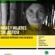 Es la portada del informe “Niñas y mujeres sin justicia, derechos reproductivos en México”. Está ilustrado por la fotografía en blanco y negro de la cara de una mujer.