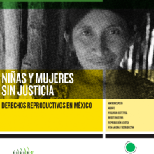 Portada del informe “Niñas y mujeres sin justicia. Derechos reproductivos en México”. Está ilustrada con la fotografía en blanco y negro de la cara de una mujer morena.
