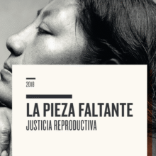 Portada del libro “La pieza faltante, justicia reproductiva” que contiene los temas: embarazo adolescente, penalización del aborto, violencia obstétrica, muerte materna y seguridad social incompleta. Está ilustrada con la fotografía en primer plano de la cara de perfil de una mujer morena que recarga su rostro en sus manos. Da clic para visualizarlo en PDF.