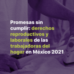 Portada del micrositio 'Promesas sin cumplir: derechos reproductivos y laborales de las trabajadoras del hogar en México 2021', que reúne información sobre el cruce entre los derechos laborales, las prestaciones de seguridad social y los derechos reproductivos. Está ilustrada con la fotografía de una persona que utiliza una plancha de vapor para quitarle las arrugas a una prenda de vestir. Da clic para redirigirte al micrositio.