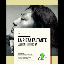 Portada del libro 'La pieza faltante, justicia reproductiva' que contiene los temas: embarazo adolescente, penalización del aborto, violencia obstétrica, muerte materna y seguridad social incompleta. Está ilustrada con la fotografía en primer plano de la cara de perfil de una mujer morena que recarga su rostro en sus manos.
