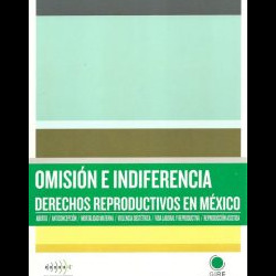 Portada del informe 'Omisión e indiferencia. Derechos reproductivos en México'. Está ilustrada con rectángulos de color verde, café y amarillo.