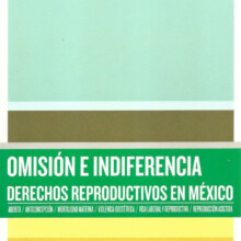 Portada del informe 'Omisión e indiferencia. Derechos reproductivos en México'. Está ilustrada con rectángulos de color verde, café y amarillo.